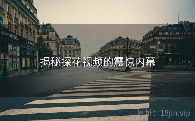 揭秘探花视频的震惊内幕