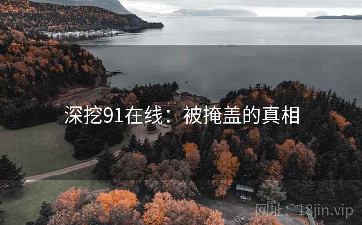 深挖91在线：被掩盖的真相