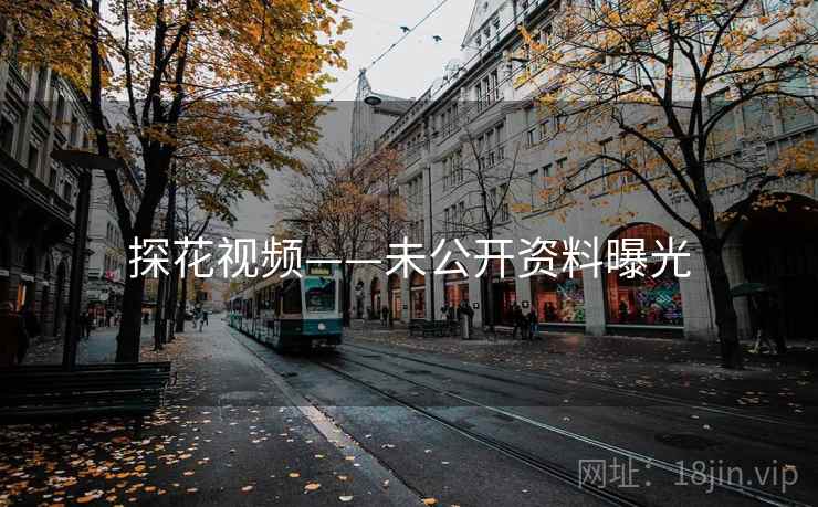 探花视频——未公开资料曝光