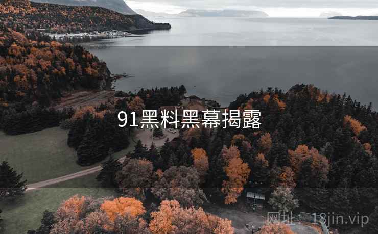 91黑料黑幕揭露