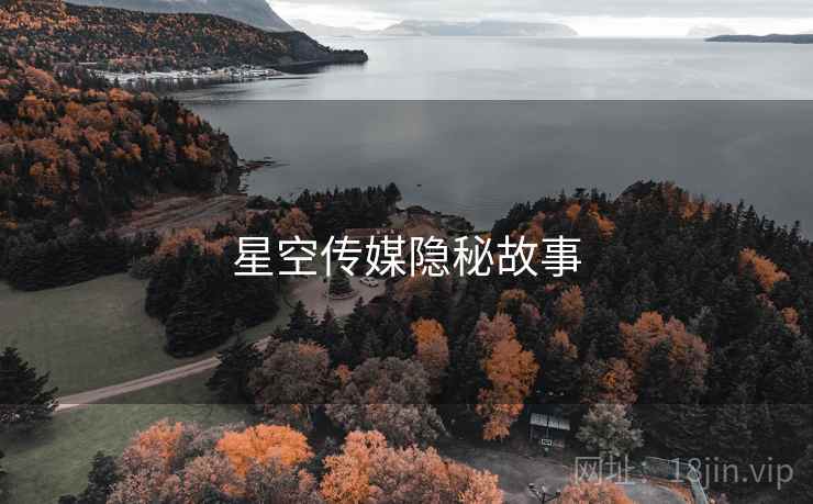 星空传媒隐秘故事