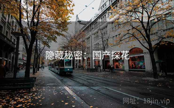 隐藏秘密：国产探花