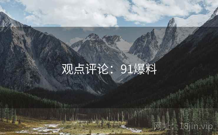 观点评论：91爆料  第2张