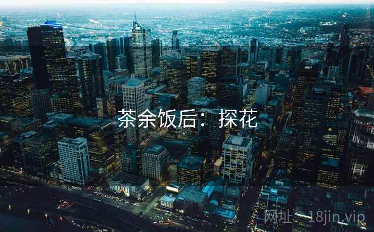 茶余饭后：探花  第1张