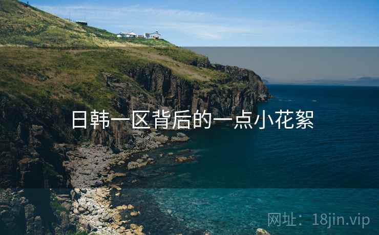 日韩一区背后的一点小花絮  第2张