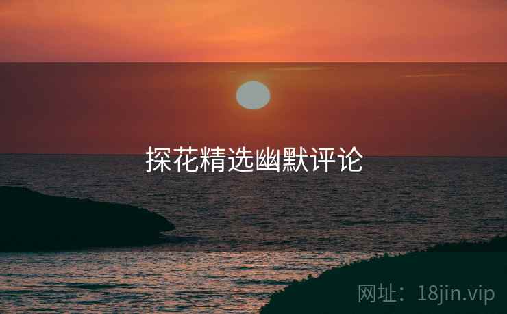 探花精选幽默评论