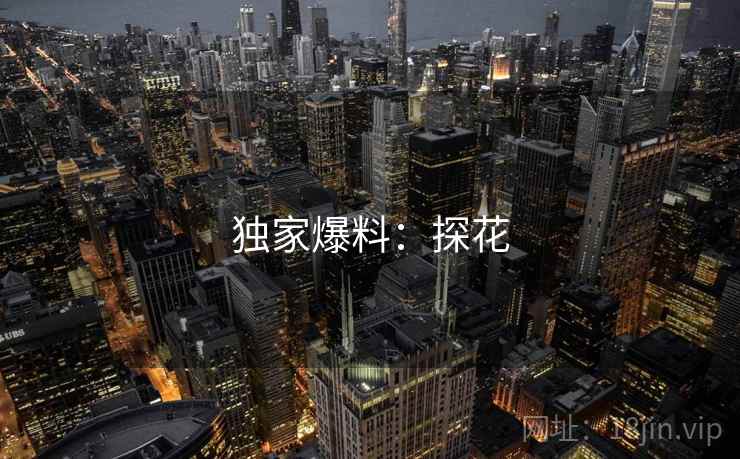 独家爆料：探花  第2张