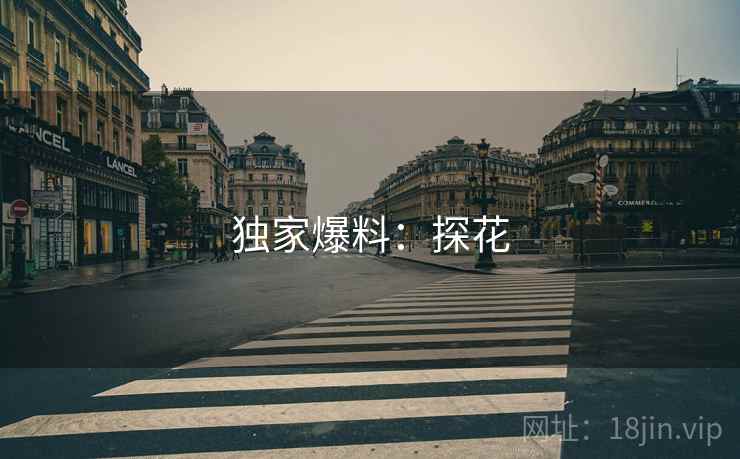 独家爆料：探花