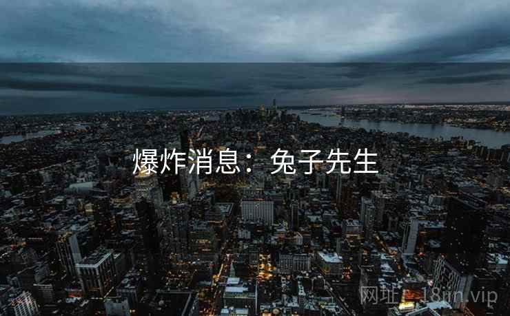 爆炸消息：兔子先生  第1张