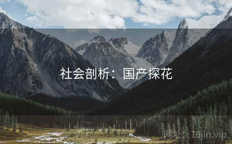社会剖析：国产探花