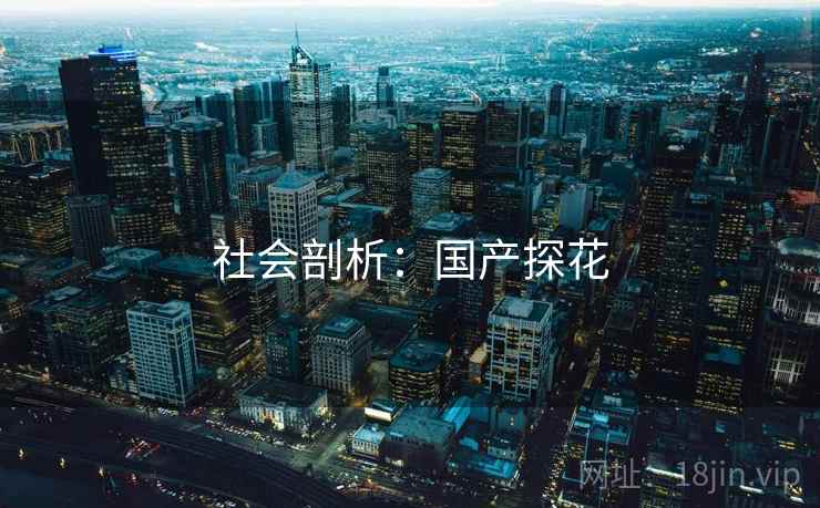 社会剖析：国产探花