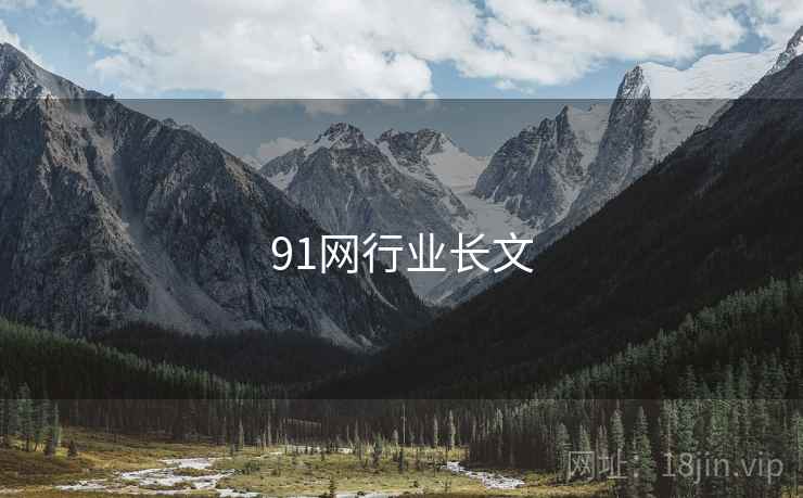 91网行业长文  第1张