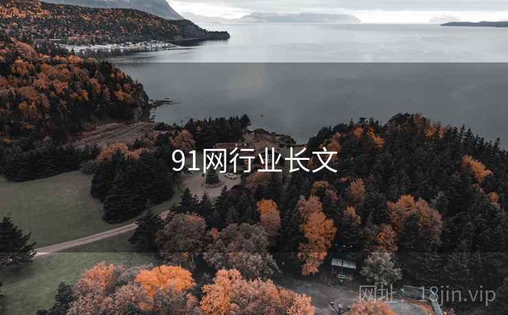 91网行业长文  第2张
