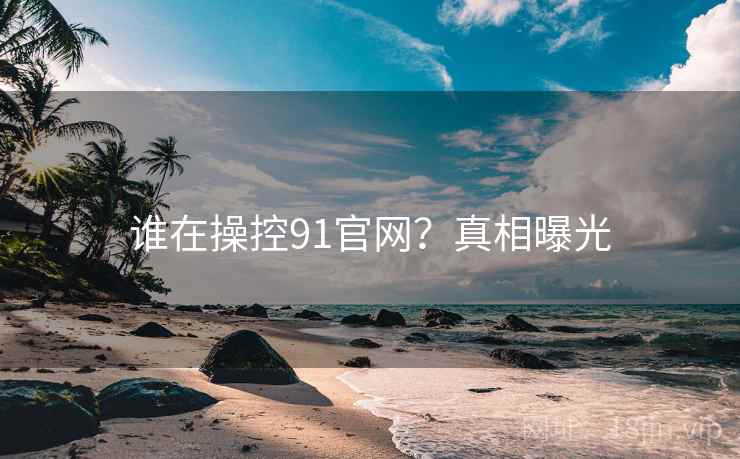 谁在操控91官网？真相曝光