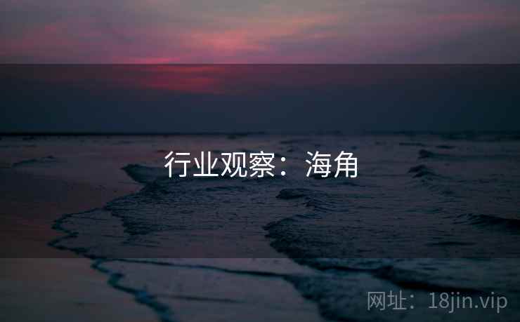 行业观察：海角  第2张