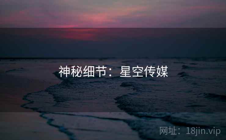 神秘细节：星空传媒