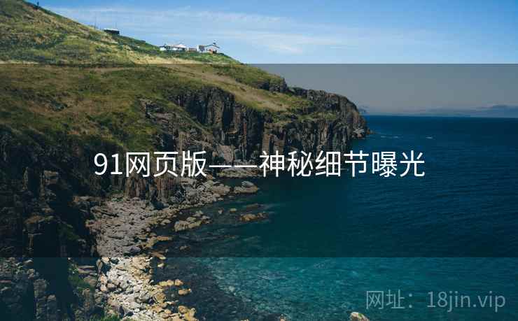 91网页版——神秘细节曝光