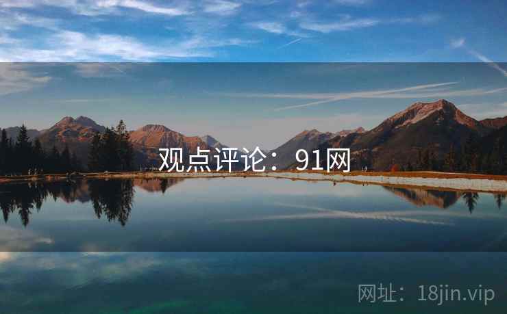 观点评论：91网