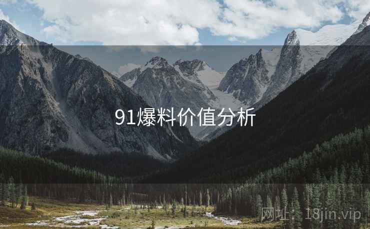 91爆料价值分析  第2张