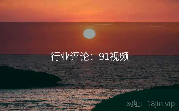 行业评论：91视频