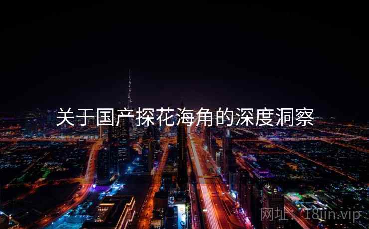 关于国产探花海角的深度洞察