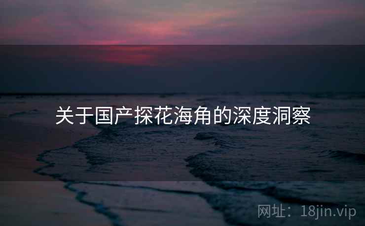 关于国产探花海角的深度洞察