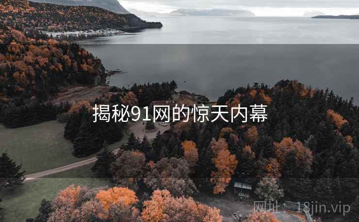 揭秘91网的惊天内幕
