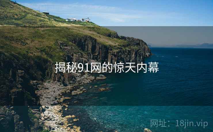 揭秘91网的惊天内幕