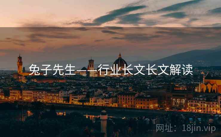 兔子先生——行业长文长文解读  第2张